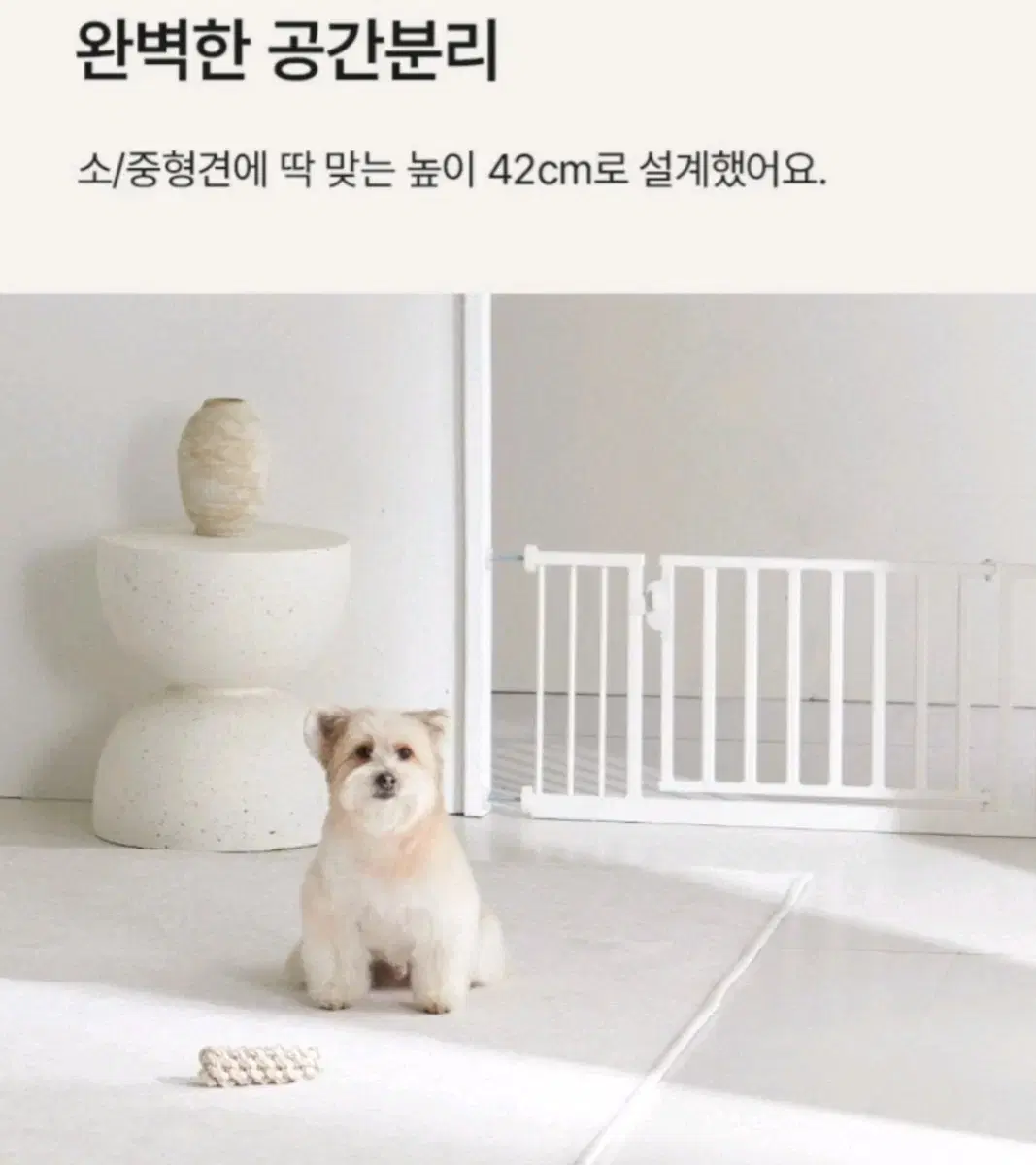 강아지안전문 2개